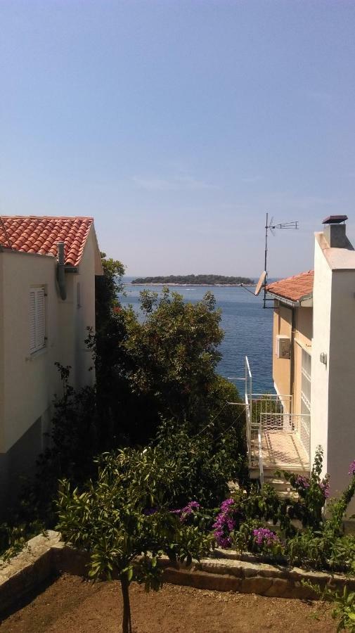 Apartament Apartman Jasa Primošten Zewnętrze zdjęcie