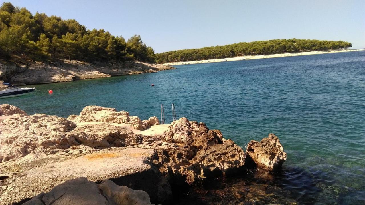 Apartament Apartman Jasa Primošten Zewnętrze zdjęcie